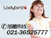 Ladybird����